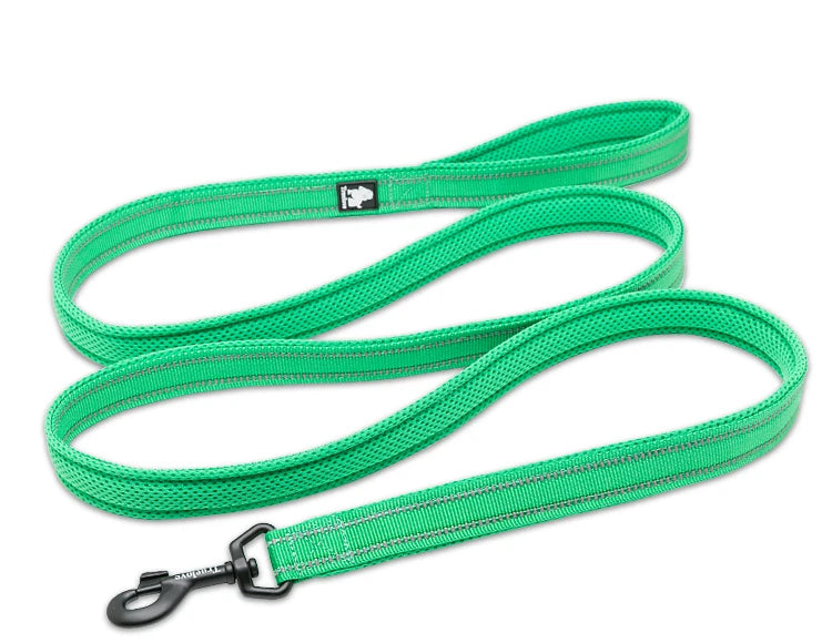 Winhyepet Dog Leash with Padded Handle Training Durable 200cm Luxury Pet Leash for Small Medium Large Dogs accessories
