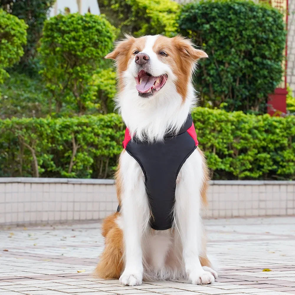 Pet Clothing Autumn/Winter Dog Outing Cotton Vest Dog Cat Golden Retriever Large Dog Cat Clothing Wholesale Straps