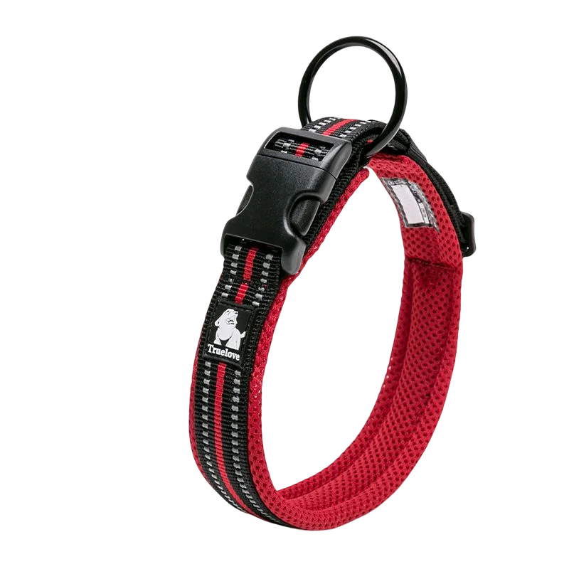 Winhyepet Dog Walking Collar Comfort Padded with Buckle Nylon Traveling Collar Tactical Dog Suplies 11 Colors Size XXS-XXXL
