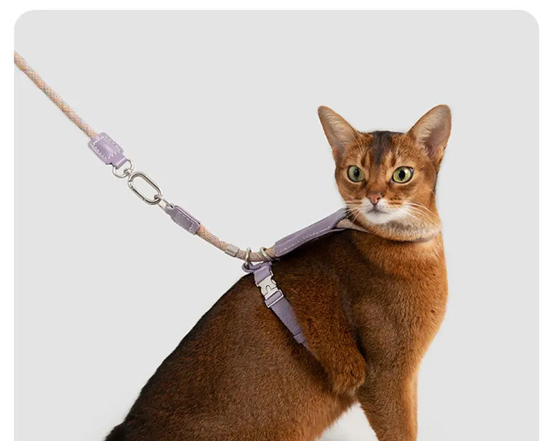 H-Shape Escape Proof Cat Harness and Leash Set Adjustable Breathable Lightweight No Choke Vest for Small Cats Kitten Outdoor Use