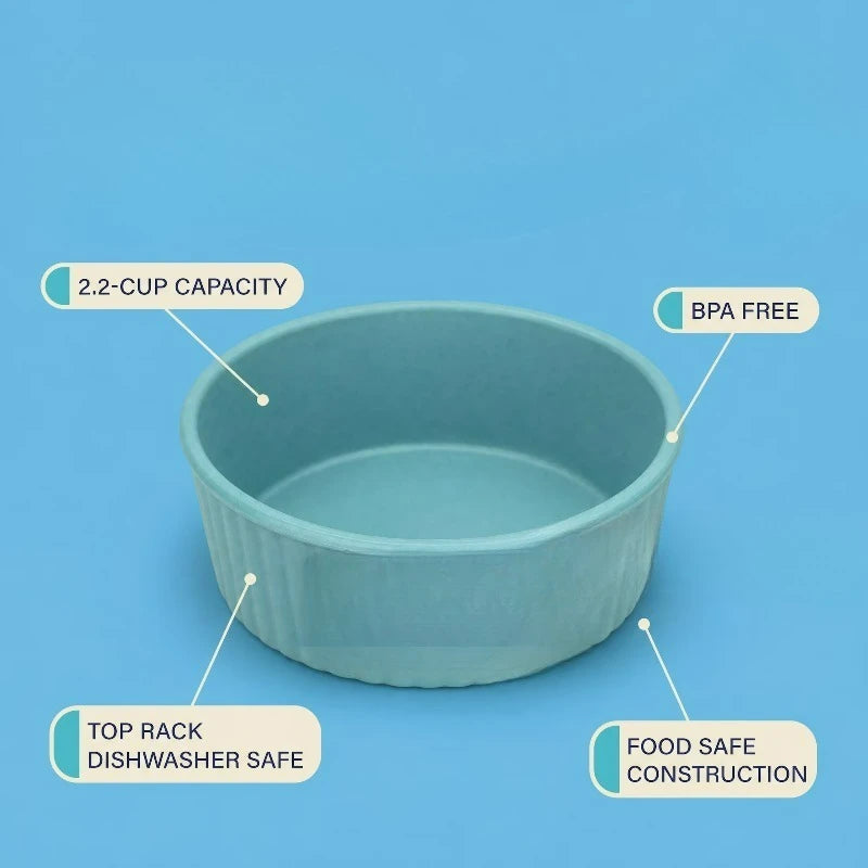 Small 2.2-Cup Pet Bowl, Teal，Measures 5.5 in x 5.5 in x 2 in for a compact footprint in your feeding area.