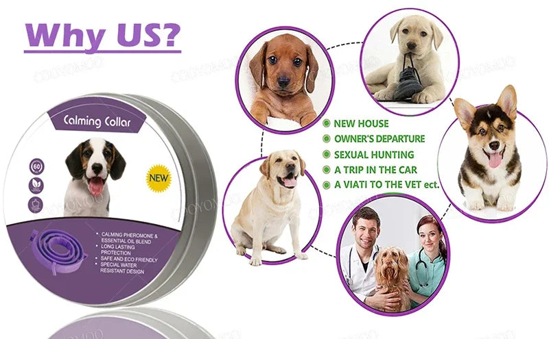 New Release Dog Calming Pheromone Collar cat Relieve Anxiety Adjustable Comfortable Collar For Puppy Kitten Large Dog Accessorie