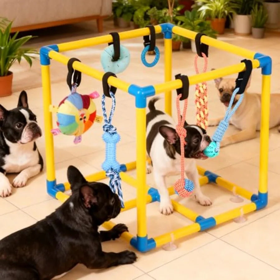 Puppy Play Gym for Small Dogs with 10 Hanging Toys Removable Indoor Jungle Gym PVC Frame with Adjustable Bungee Straps Interact