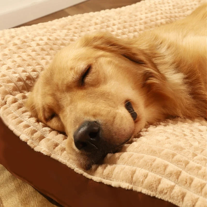 HOOPET Dogs Sleeping Bed Warm Soft Fleece Pet Blanket Detachable Cat Puppy Mat Cushion for Small Medium Large Dogs Pet Supplies
